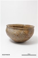 藏品(敞口帶緣圜底盆)的圖片